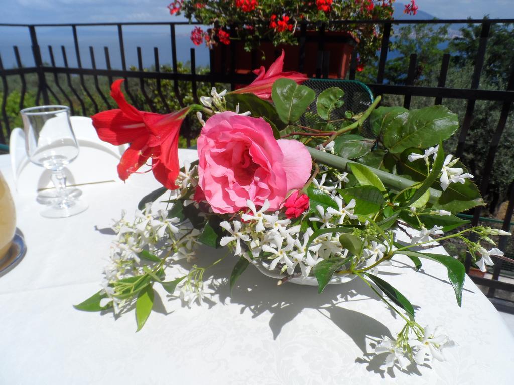 Ancelle Sorrento - Casa D'Accoglienza Hotel Castellammare di Stabia Eksteriør billede